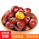 【25年新貨】云南高山板栗老樹油栗生鮮新鮮蔬菜水果可生吃零食 云南高山板栗新貨 4斤 家庭款