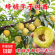 正宗蜂糖李子樹(shù)苗貴州脫骨李子樹(shù)苗早熟南方北方地栽盆栽當年結果 8年苗1棵【結果暴多，品種備注】 60cm(含)-69cm(含)