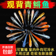 觀(guān)背青鳉觀(guān)賞魚(yú)魔法魚(yú)青鏘魚(yú)小型冷水淡水魚(yú)不打氧好養耐活寵物魚(yú) 2cm青鳉五條送一條備損