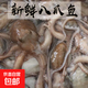 網(wǎng)紅爆頭大長(zhǎng)腿八爪魚鮮活速凍商用活的冷凍特大新鮮大長(zhǎng)腿八爪魚 2斤