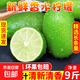 海南無籽香水檸檬新鮮水果檸檬無籽小青檸香水檸檬茶飲店專用 獨立包裝單果60-160g 2斤