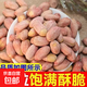 新五香花生米山東特產(chǎn)烤熟多味奶香蒜香咸香散裝休閑零食山藥粉 五香味【凈重】 250g*2袋
