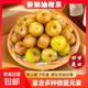 正宗潮汕油柑果油甘果回甘餅甜消食刮油新鮮水果減脂京東快遞 2斤帶箱（約90-130粒）