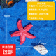 魚(yú)缸水族裝飾微景觀(guān)仿真珊瑚海星擺件 造景絕美戲水玩具 仿真樹(shù)脂珊瑚水族1個(gè)【海星】