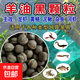 鳳漁子黑爆來(lái)了蝦鱔魚(yú)誘餌黃鱔釣魚(yú)網(wǎng)抓龍蝦泥鰍蝦籠餌料 1公斤桶裝（凈重）