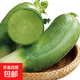 正宗山東沙土地水果青蘿卜新鮮青皮蘿卜山東特產(chǎn)農(nóng)家自產(chǎn) 6斤 精選