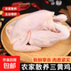 三黃雞 冷凍農(nóng)家土雞童子雞慢養(yǎng)走地雞紅燒白切煲湯食雞肉生鮮 三黃雞850g/只*2只