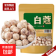 白蔻香料精選足干白蔻仁白扣白豆蔻白寇調(diào)味料鹵肉燉肉火鍋底料 白蔻100g