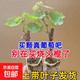 【買一送一】正宗葡萄樹苗盆栽地栽南方北方種植耐寒庭院果樹苗木 0.8cm（含）-1cm（不含） 組合 【陽光玫瑰+巨峰】帶土帶葉+肥