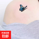 彩色紋身貼女 防水持久遮蓋妊娠紋疤痕小腹肚子仿真高級性感圖案 10貼-蝴蝶-圖案隨機