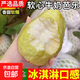 奶油黃芭樂(lè ) 軟糯可口 放軟更好吃 送酸梅粉新鮮水果低卡 2個(gè)裝（單果100克+）