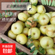 潮汕油柑果油甘果新鮮水果現(xiàn)采現(xiàn)摘泡茶煲湯回甘 帶箱1斤