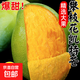正宗凱特芒攀枝花新鮮采摘新鮮水果 帶箱2斤 超大果【單果200-300g】