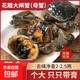 醉蟹生腌大閘蟹即食海鮮腌制螃蟹鹵河蟹醬毛蟹寧波紅膏咸嗆 2個 全母大閘蟹2-2.5兩/只