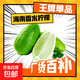 海南香水檸檬無籽青檸檬奶茶店專用 香水檸檬帶箱1斤
