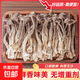 鹿茸菇干貨鹿茸菌云南非野生脆脆菌菇煲湯蘑菇燉湯菌湯包 精品鹿茸菇-500g