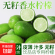 海南香水檸檬新鮮青檸檬無(wú)籽子彈頭檸檬水果應季奶茶店檸檬包郵S 【帶箱1斤裝】單果70g+