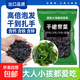 全干裙帶菜 小海帶菜免洗無沙 免切免洗100g*1袋