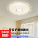 臥室吸頂燈現(xiàn)代簡約房間主臥輕奢家用花瓣形led中山燈具2025新款 蓮花:50cm-48W三色光｜適用15㎡