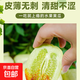 【迷你玉女黃瓜種子】水果黃瓜種子小黃瓜種籽陽(yáng)臺盆栽庭院蔬菜 迷你玉女黃瓜種子 1袋