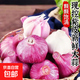 新干蒜蔬菜糖醋蒜燒烤火鍋調(diào)料食材大蒜 2斤 單果3.5-5cm