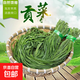 【火鍋季】新鮮貢菜干農家貢菜干無(wú)添加脫水蔬菜秋冬必備 貢菜【脫水蔬菜】 50g