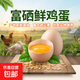 京喜加富硒雞蛋45-55g/枚新鮮雞蛋土雞蛋溏心蛋早餐買(mǎi)菜京東包郵溏心蛋 富硒雞蛋10枚