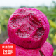 湖北紅心火龍果金都一號新鮮采摘現摘現發(fā) 優(yōu)質(zhì)大果實(shí)惠裝（2粒）單果300g+