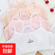 女童發(fā)育期內(nèi)衣夏季薄款小學生純棉吊帶小背心兒童文胸小女孩抹胸 混色3件（每個顏色各1件）-8870# L 建議60-100斤