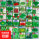 【隨種隨吃】調(diào)料菜種子組合春季四季易種耐熱陽臺盆栽通種蔬菜 小葉香菜種子2包約2000粒 一包約1000粒