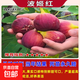 無花果果樹果苗特大果矮化盆栽水果樹波姬紅優(yōu)質(zhì)青皮鮮果樹南北方 波姬紅4-5公分 70cm含79cm含