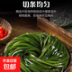 大連 鮮海帶 鹽漬海帶絲 涼拌菜海帶絲食材鮮嫩 新鮮鹽漬海帶絲500g