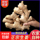 風(fēng)干大黃姜 不帶泥老姜干姜 農(nóng)家自種 新鮮佐餐蔬菜 京東快遞直發(fā) 山東大黃姜 老姜干姜凈重 1斤 偶有碎塊