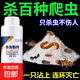 殺蟲(chóng)劑家用室內非無(wú)毒蟑螂螞蟻蜈蚣驅除蟲(chóng)子粉劑除防蟲(chóng)藥菊酯克星 【500g】殺蟲(chóng)粉劑1瓶