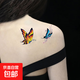 紋身貼防水女持久彩色仿真性感腳踝網(wǎng)紅彼岸花鎖骨紋身貼紙高級(jí)感 10貼-蝴蝶-圖案隨機(jī)
