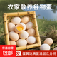 新鮮土雞蛋現(xiàn)撿現(xiàn)發(fā)谷物雞蛋初生蛋月子雞蛋40g左右早餐買菜 【京東物流】30枚裝