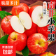 南非進(jìn)口小蘋(píng)果 脆甜可口富士新鮮水果迷你小巧方便攜帶 10個(gè)裝(單果80-100g)