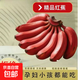 紅美人香蕉皮薄肉厚更香更甜泰韻新鮮水果云南現(xiàn)摘現(xiàn)發(fā) 云南新鮮現(xiàn)摘紅皮香蕉五斤
