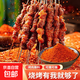 燒烤調(diào)料撒料全套孜然粉燒烤粉秘制燒烤料椒鹽烤肉蘸料腌料調(diào)味料 燒烤料250g*2包 五香
