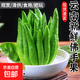 斜杠大叔云南新鮮應(yīng)季超大佛手柑生吃煲湯擺件聞香禮佛新鮮佛手非 單果3.5-4斤【巨無霸】可遇不可求 青果黃果隨機(jī)發(fā)【青果會變黃】