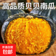 正宗貝貝南瓜板栗味寶寶輔食老南瓜新鮮蔬菜生鮮減肥減脂早餐輕食 品質(zhì)中大果 2斤 帶箱