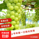 陽光玫瑰葡萄少籽提子新鮮水果3-5斤 果王級12g-14g 三斤