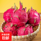 廣東紅肉火龍果新鮮采摘現(xiàn)摘現(xiàn)發(fā) 單果200g+ （3粒）