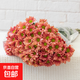 【小雛菊】鮮切花云南基地水養(yǎng)花期長家庭插花七彩菊花七夕節(jié)禮物 隨機(jī)單色小雛菊3枝【多頭】