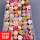 多肉植物盆栽綠植花卉室內玉露錢(qián)串紅寶石書(shū)桌擺件玫瑰 36顆多肉隨機不重復+4包營(yíng)養土 圖片文字有說(shuō)明