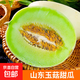 山東玉菇甜瓜 冰淇淋口感應季新鮮水果整箱 山東玉菇甜瓜7-7.5斤3-5個(gè)
