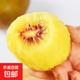 紅心獼猴桃 奇異果 新鮮水果生鮮水果 12個單果70-90克