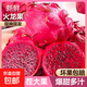 廣西紅心火龍果金都一號國產(chǎn)火龍果新鮮水果紅肉大果包郵產(chǎn)地現摘 2粒 單果400g+