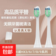 適配飛利浦電動(dòng)牙刷頭HX6730HX6530HX3216HX6620HX9023HX680h 中毛 8支 牙菌斑潔凈型白色