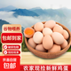 守山翁新鮮土雞蛋 農家散養鮮雞蛋初生蛋 現撿現發(fā)柴雞蛋 單枚40g左右 6枚
